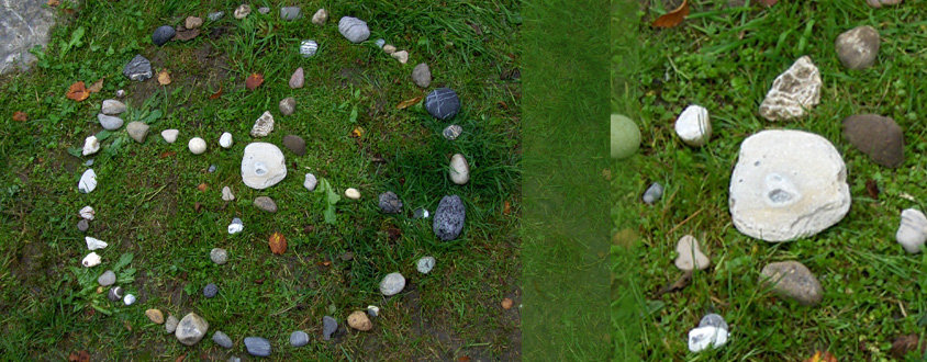 medizinrad im gras