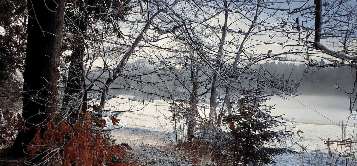 Wintersonnenwende