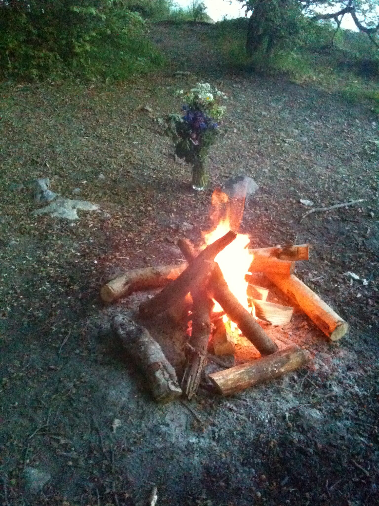 IMG_0439 feuer am See